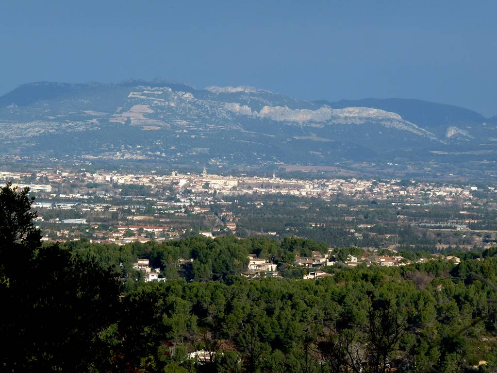 vue