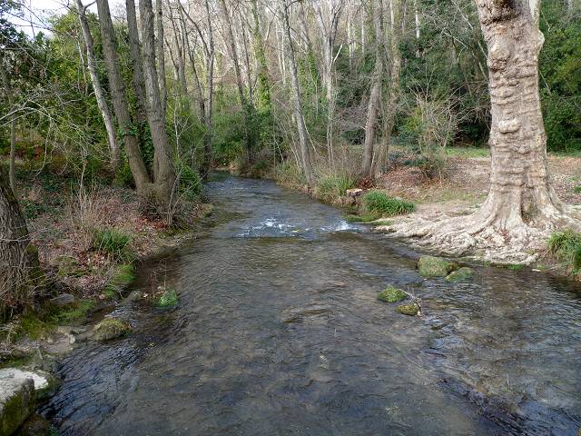 Alzon