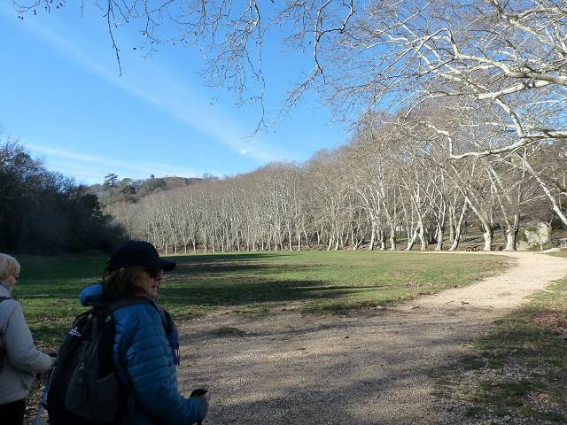 Alzon