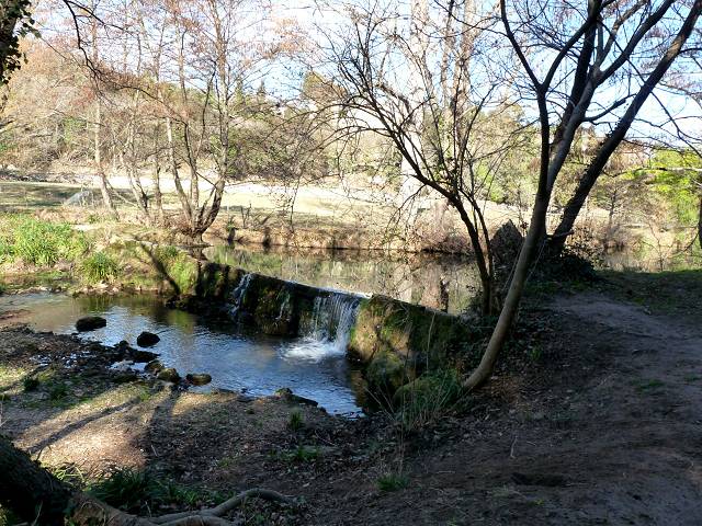 Alzon