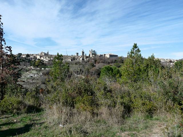 vue