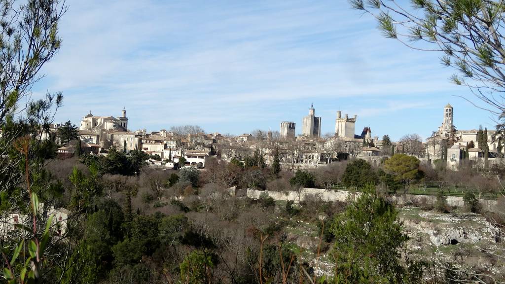 vue