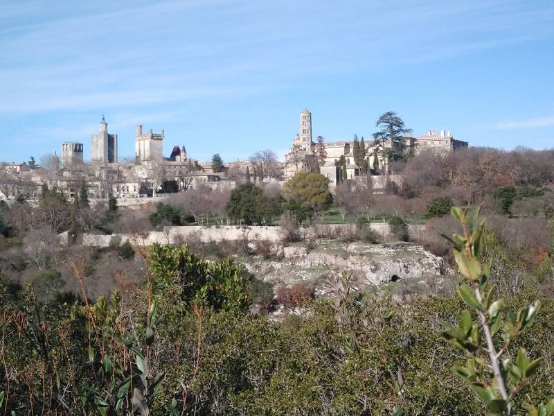 vue