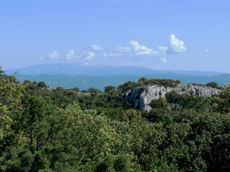 vue