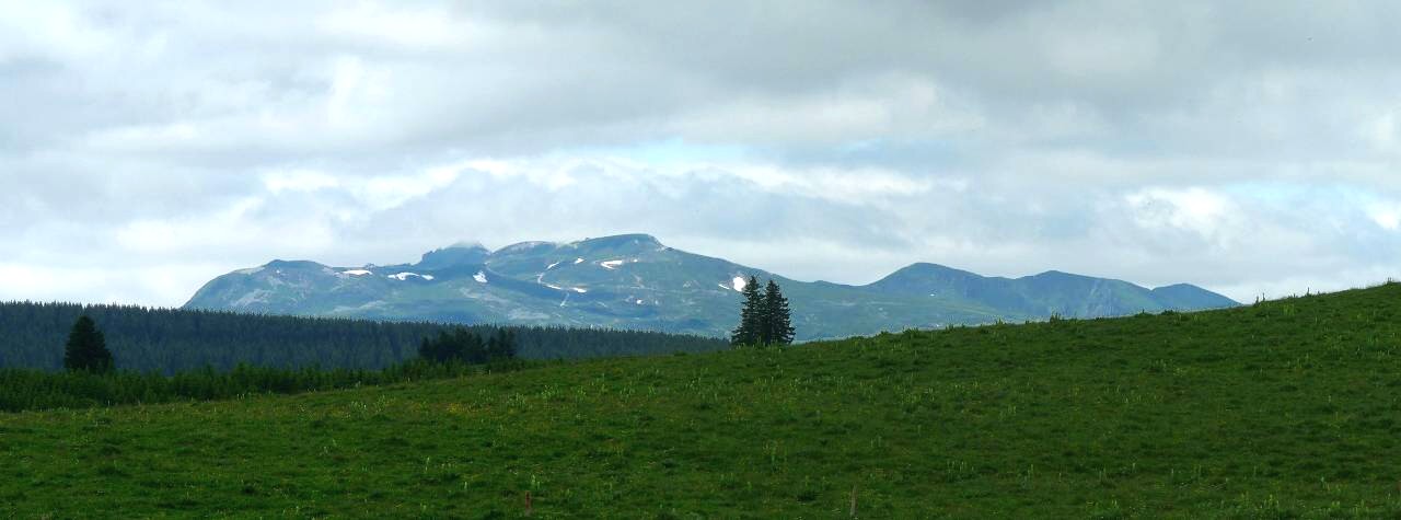 Sancy