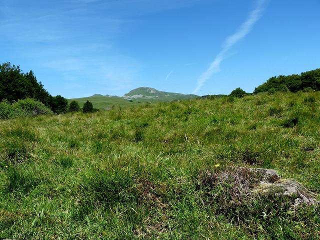 Puy Merle