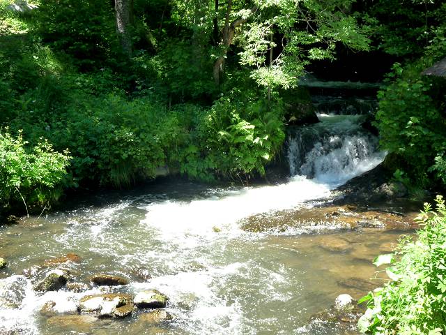 Besse