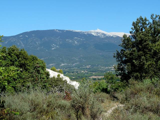 vue