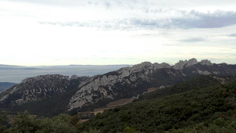 Dentelles