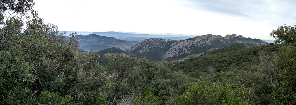 Dentelles
