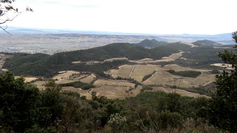Dentelles