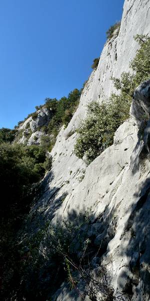 Combe Obscure