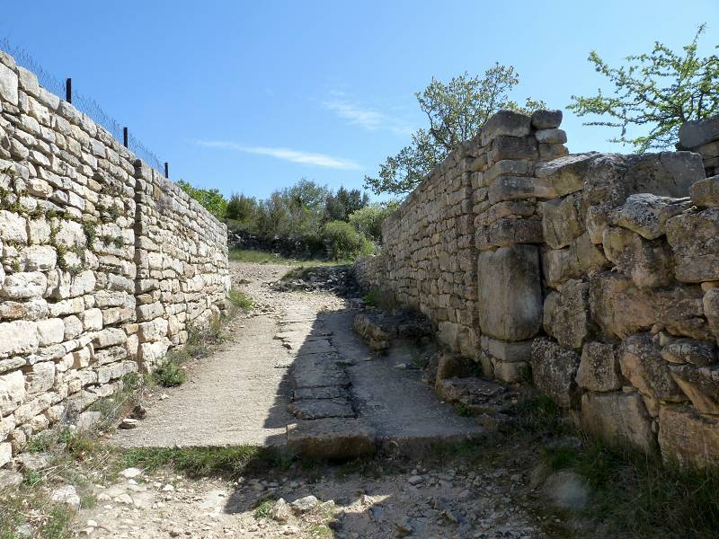 Camp de Csar