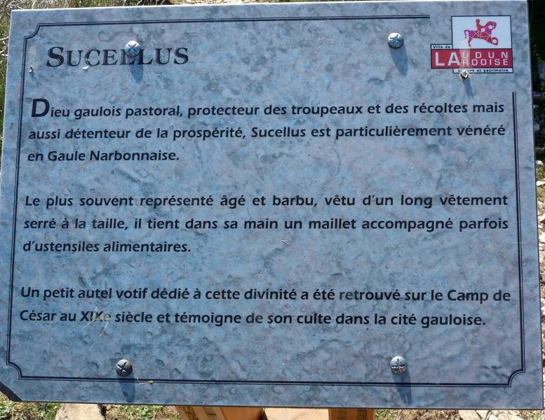 Sucellus