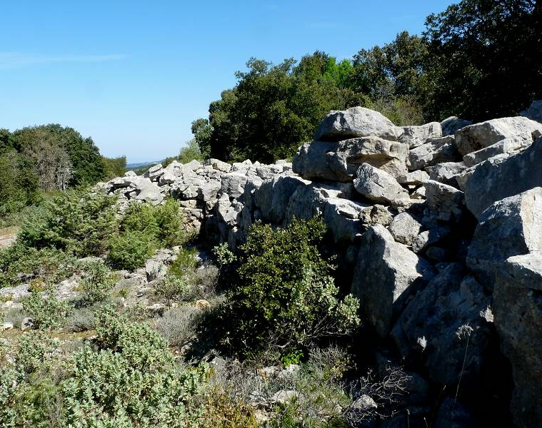 Rempart Gaulois