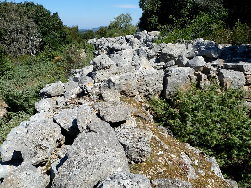 Rempart Gaulois