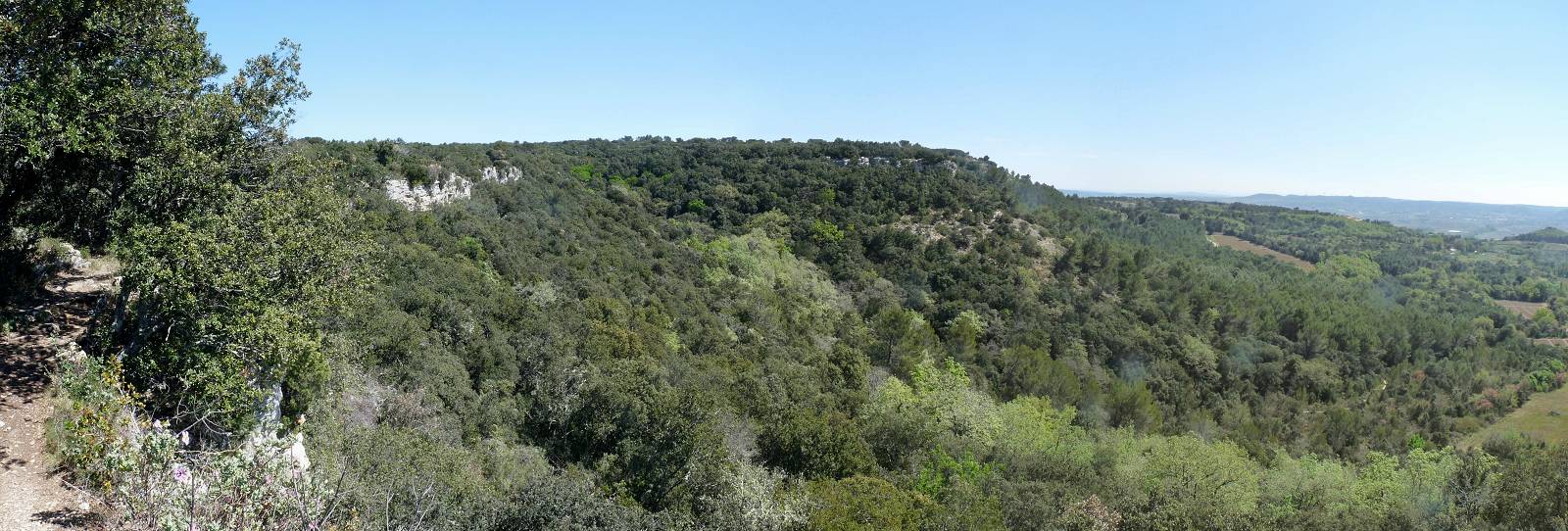 vue