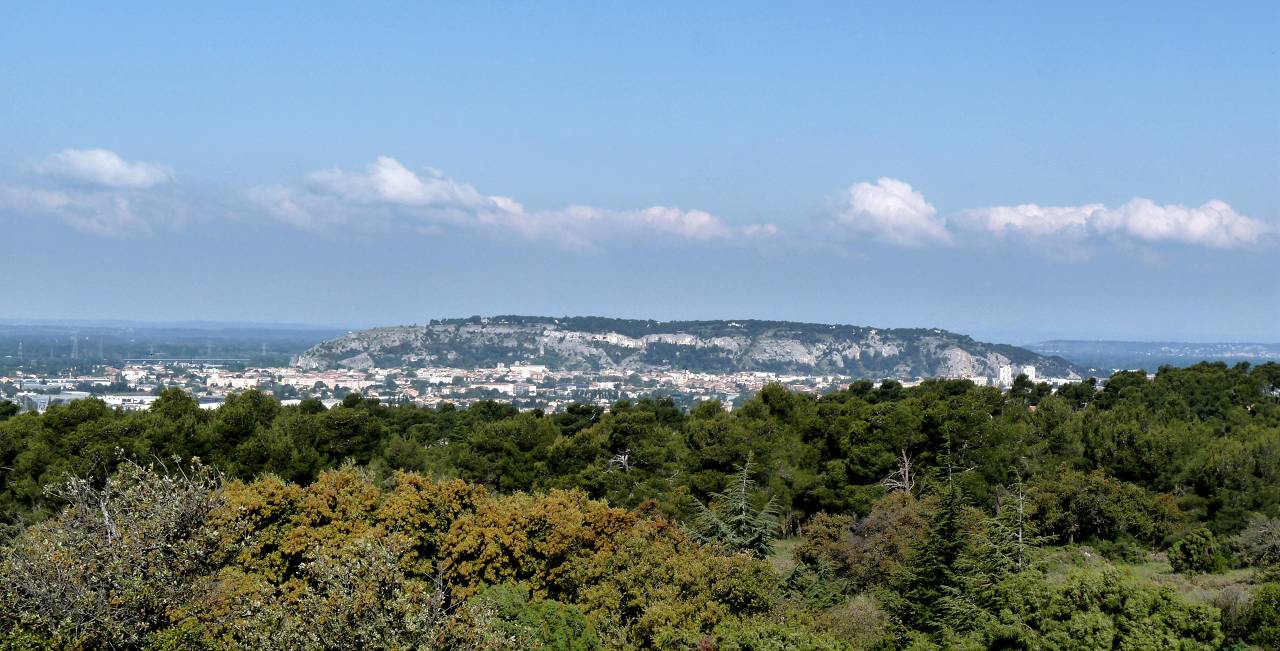 Cavaillon