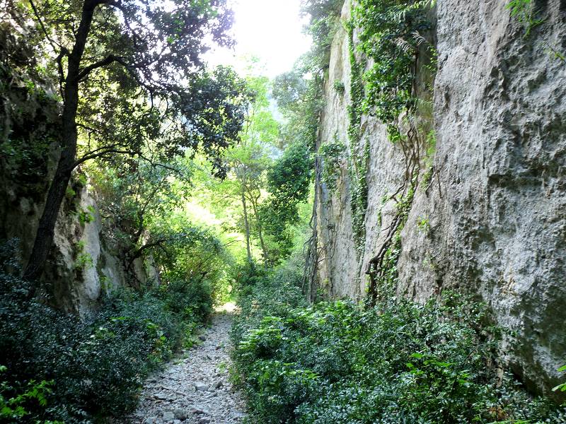 Vallon du Colombier