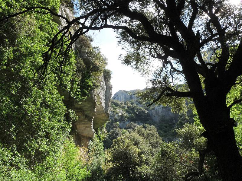 Vallon du Colombier