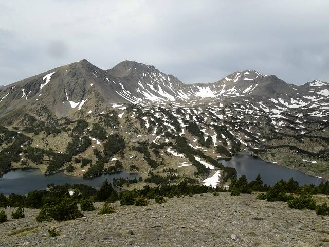 Camporells
