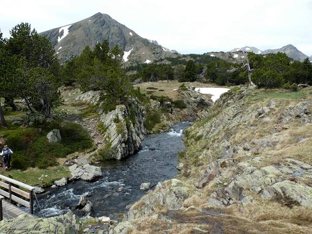 Camporells