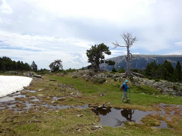 Camporells
