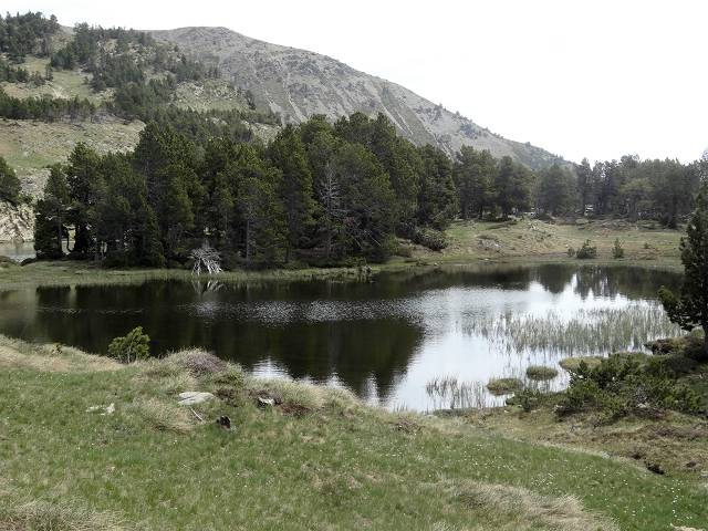 Camporells