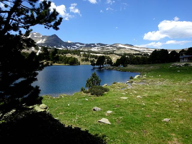 Camporells
