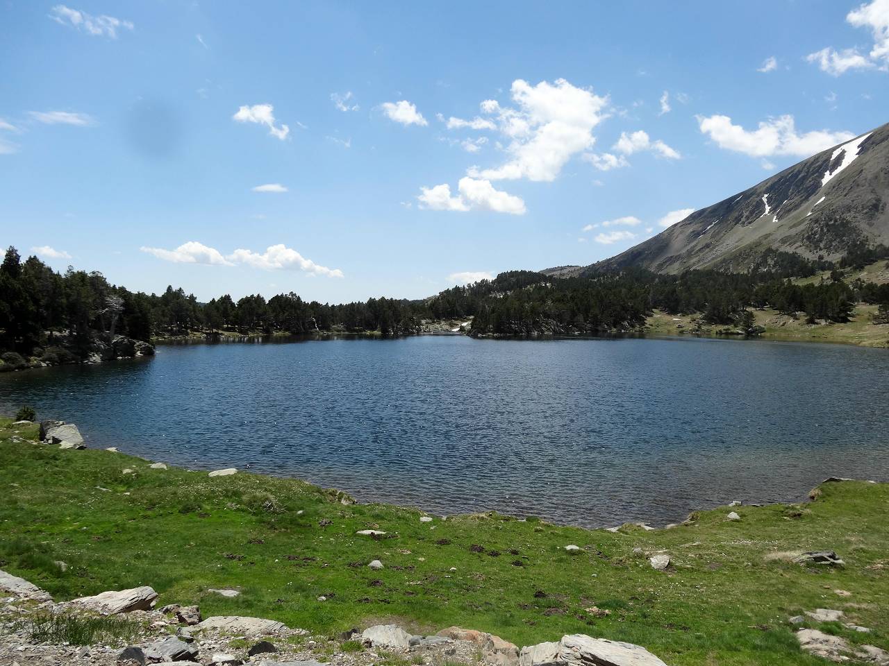 Camporells
