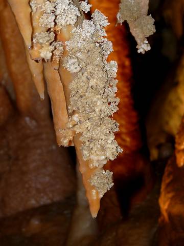 Grotte de Fontrabiouse