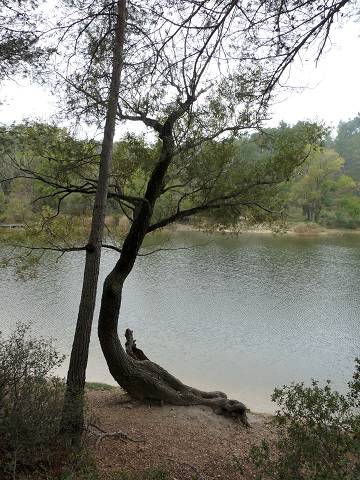 Lac des Peiroou