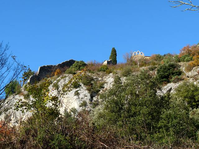 Mthamis