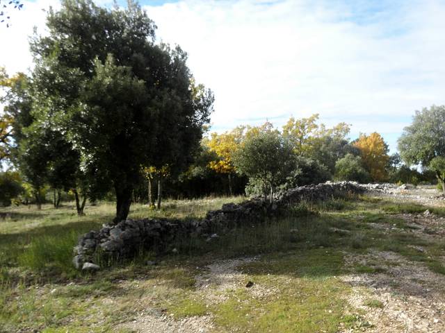 Mur de la Peste