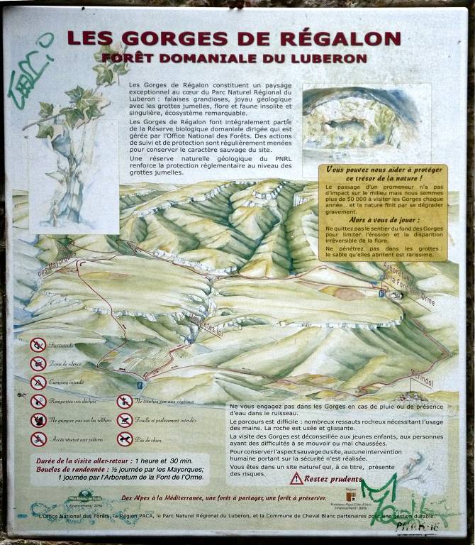 Rgalon