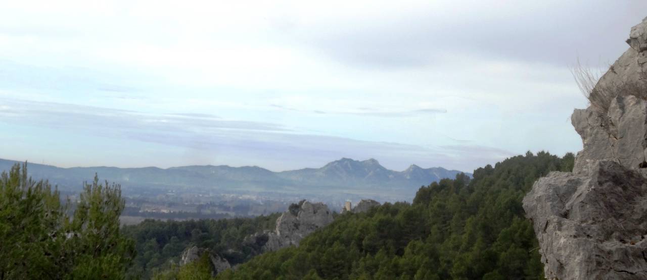 vue
