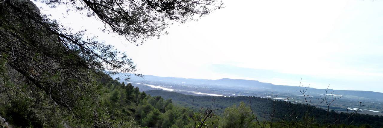 vue