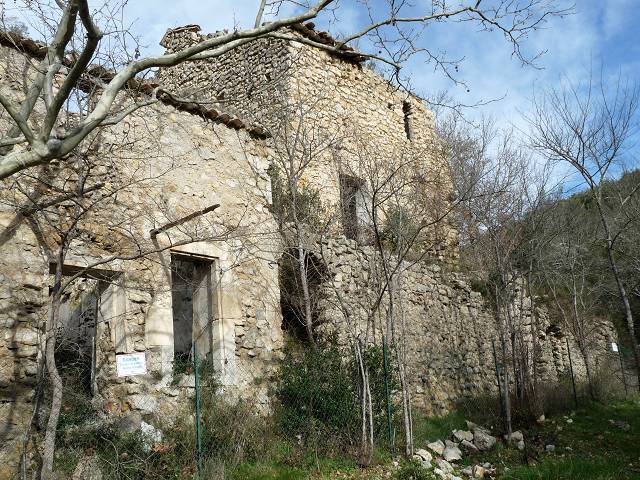 Petrossi