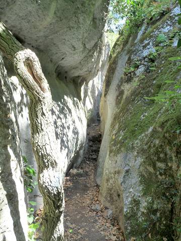 Vallon du Canebier