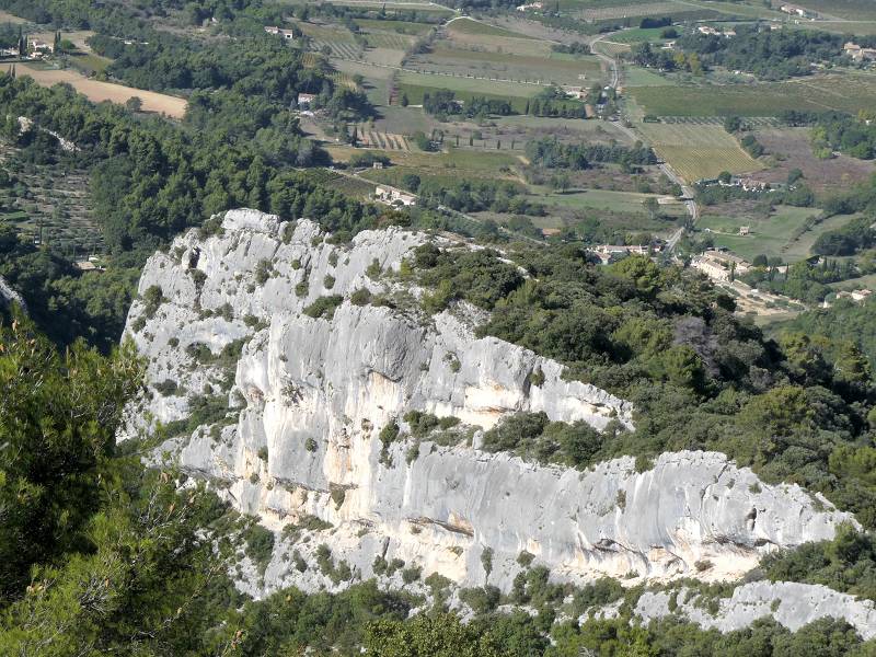 Tte du Loup