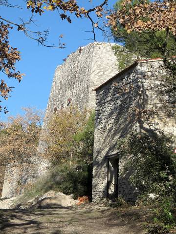Pltrire