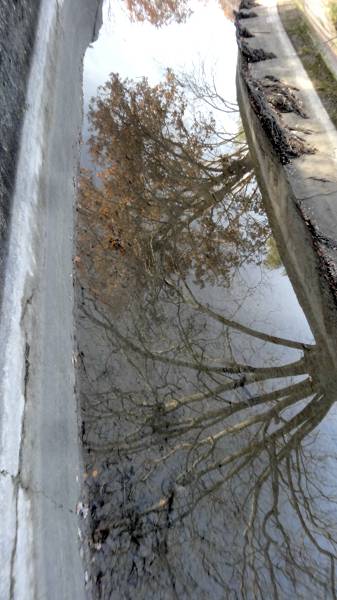 Canal