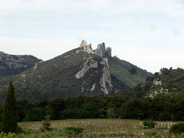 Suzettz