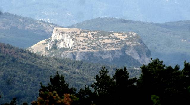 Mvouillon