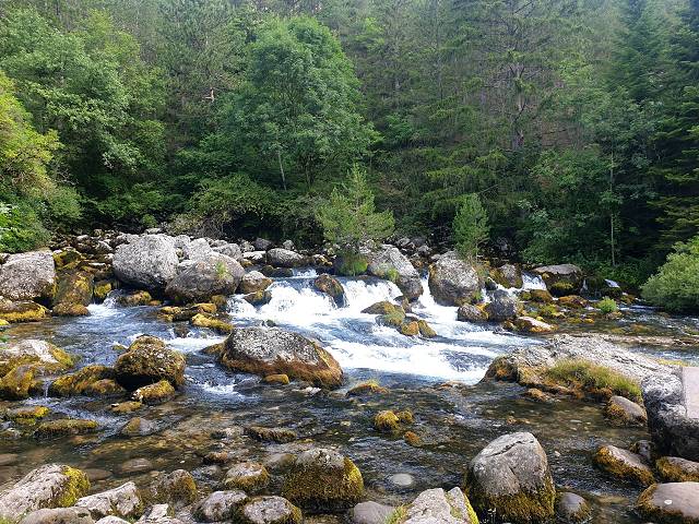 Les Gillardes