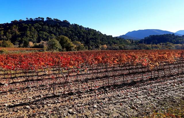 Automne
