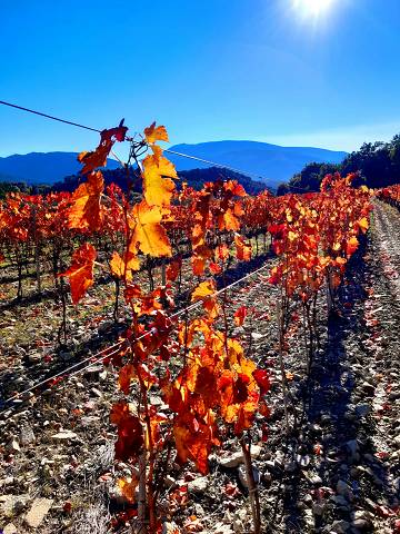 Automne